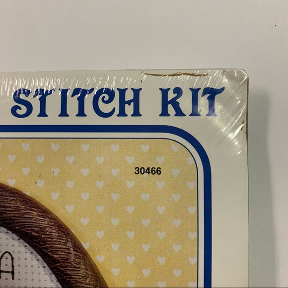 Counted Cross Stitch Kit frog "have a hoppy Day" craft NEW made in USA - Picture 6 of 11